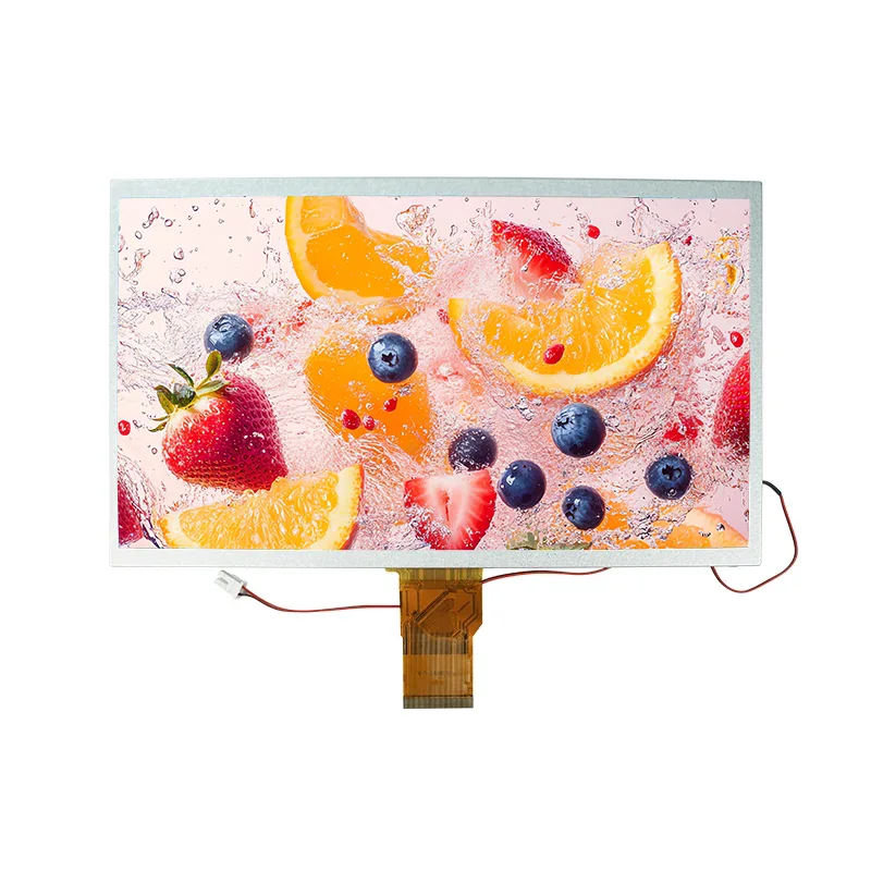 10.1 tum hög ljusstyrka transmissiv TFT IPS TFT LCD -skärmmodul
