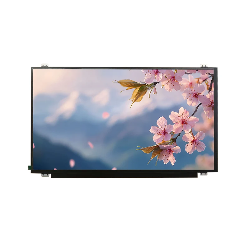 15.6 'HD Wide Temp IPS TFT LCD -skärmmodul
