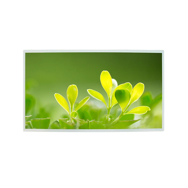 21.5 'Hög ljusstyrka FHD IPS Color TFT LCD Display Module