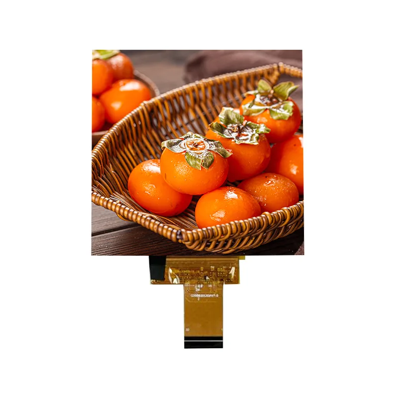 3,95 tum RGB480X480 Anti-reflex IPS In-cell Touch Screen Module