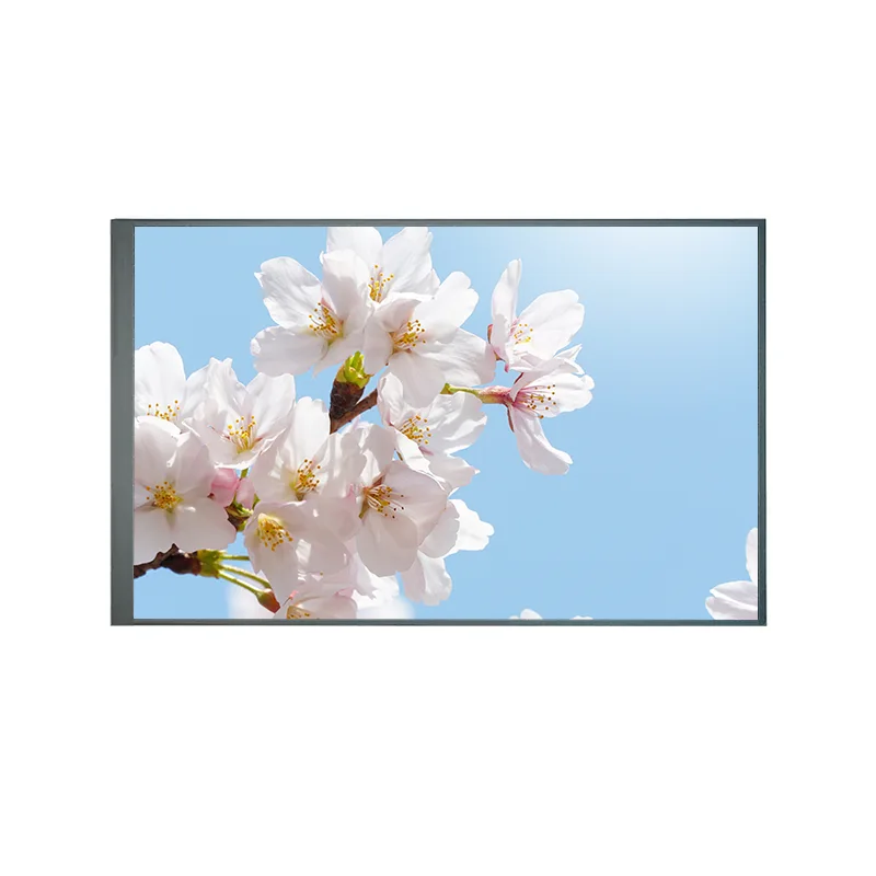 8,0 tum Normalt tillbaka TFT IPS TFT LCD -skärmmodul